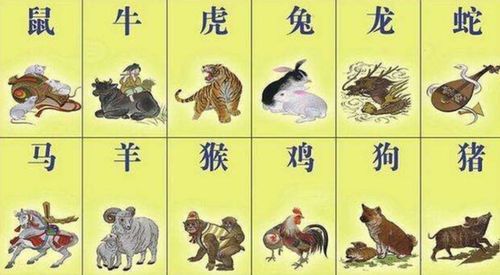 72年属鼠52岁三大坎坷:72年属鼠人52岁运程解析,三大关卡与破局之道 72年属鼠52岁三大坎坷:72年属鼠人52岁运程解析,三大关卡与破局之道