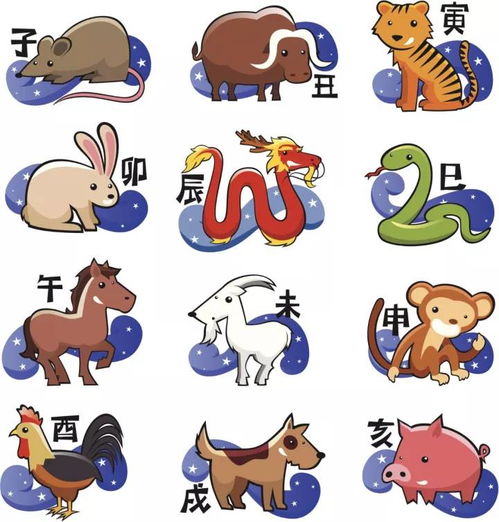 十二生肖最佳姻缘配对:十二生肖最佳姻缘配对,揭秘性格互补的完美组合 十二生肖最佳姻缘配对:十二生肖最佳姻缘配对,揭秘性格互补的完美组合