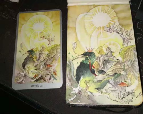 韦特塔罗牌花影塔罗牌:韦特与花影,塔罗牌的双重魅力