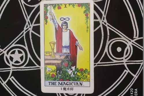 疯塔罗牌狂女巫塔罗牌:疯塔罗牌狂女巫塔罗牌,一场颠覆常规的神秘学狂欢