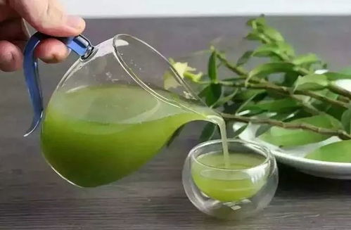 干石斛泡水一次几粒:干石斛泡水一次几粒?用量指南与养生功效全解析