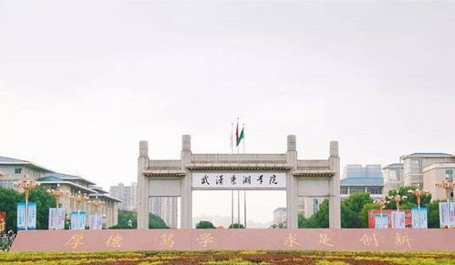 武汉二本大学有哪些学校(武汉二本大学有哪些学校湖)