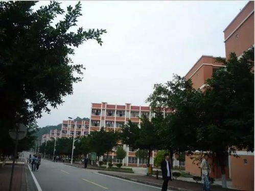 中山大学南方学院(中山大学南方学院是公办还是民办)