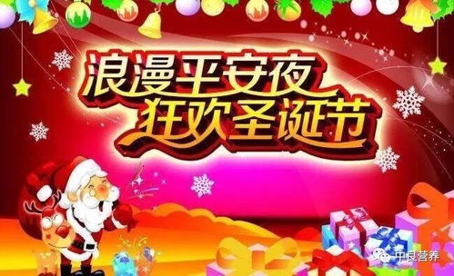 23年圣诞节结婚吉日:2023年圣诞节结婚吉日,传统与浪漫的完美结合