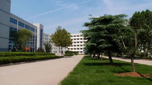 山东开放大学招生简章(山东开放大学研究生)