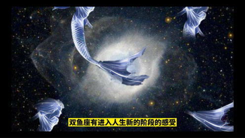 越不理双鱼男他会越喜欢嘛：越不理双鱼男，他会越喜欢吗？解码双鱼男的情感逻辑与破局指南