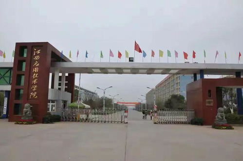 江西信息应用职业技术学院（江西信息应用职业技术学院共青校区）