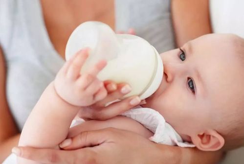 初生婴儿奶粉怎么选择：初生婴儿奶粉怎么选择？新手爸妈必看选购指南