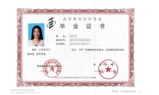 自学考试官网（北京自学考试官网）
