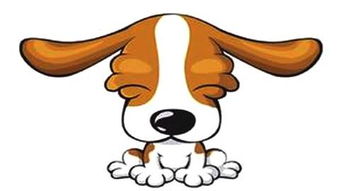 2006年属狗的是什么命：2006年属狗的命运解析，性格特质与人生轨迹的十二生肖密码