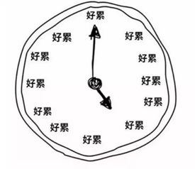 日蝎月蝎怎么划分：日蝎与月蝎的精准划分法则，从出生时间到性格特质的全解析