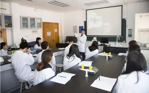 口腔医学400分左右二本院校（口腔医学400分左右二本院校公办）