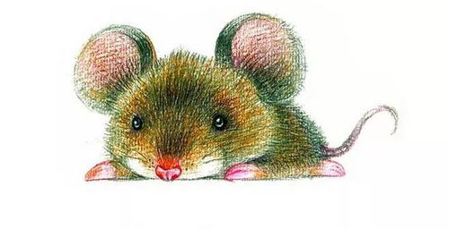 属什么的摩羯座命最好：属牛、龙、羊的摩羯座命最好？揭秘十二生肖与摩羯座的命运玄机