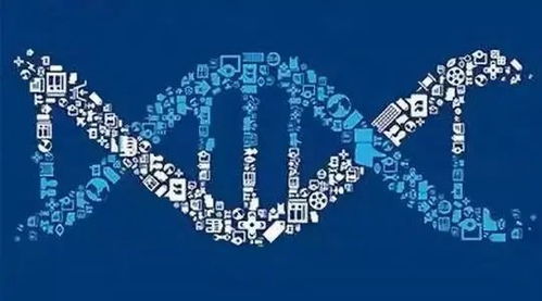 巨蟹座明日运势:巨蟹座明日运势解析,吉凶交织,抓住这三个关键点把握机会! 巨蟹座明日运势:巨蟹座明日运势解析,吉凶交织,抓住这三个关键点把握机会!