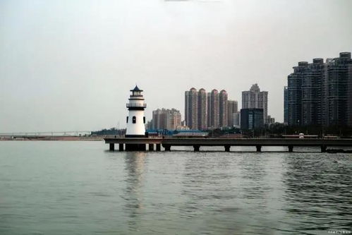 迈之灵:迈之灵,探寻自然与健康的和谐共鸣 迈之灵:迈之灵,探寻自然与健康的和谐共鸣