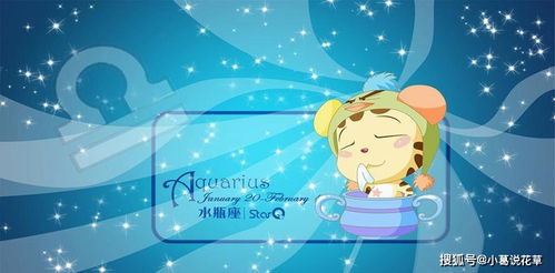 摩羯座男生喜欢什么样的女生:揭秘摩羯座男生最心动的三大特质,事业伙伴型女生如何成为他的终极选择 摩羯座男生喜欢什么样的女生:揭秘摩羯座男生最心动的三大特质,事业伙伴型女生如何成为他的终极选择