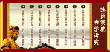 为何属虎的不怕本命年：属虎者为何独善其身？解码本命年豁免的生肖玄机