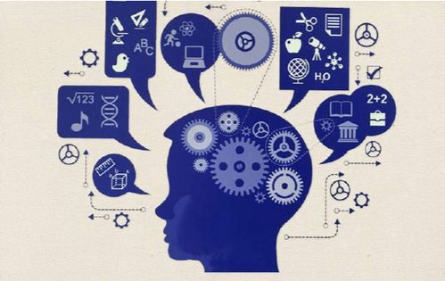 测试另一半何时出现：精准测试法，用科学思维定位灵魂伴侣的最佳交汇时刻