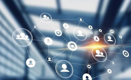 测试另一半何时出现：精准测试法，用科学思维定位灵魂伴侣的最佳交汇时刻