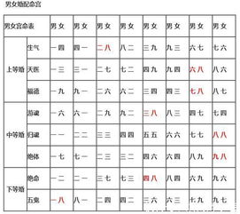 男女生肖配对查询：2024年男女生肖配对查询指南，从传统到现代的婚恋选择解析