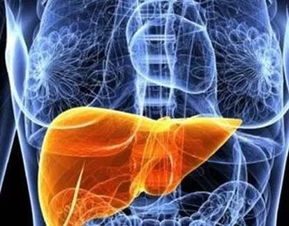 怎样判断肠道有寄生虫：如何判断肠道是否有寄生虫？这些症状和自测方法要了解