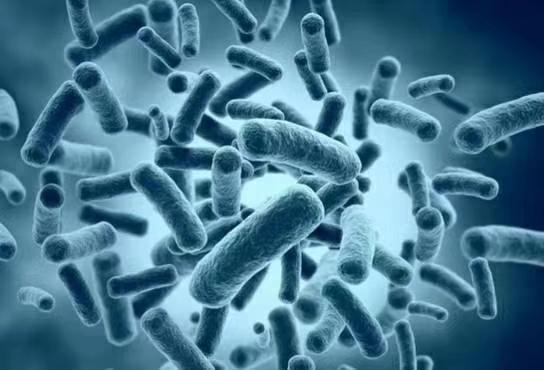 怎样判断肠道有寄生虫：如何判断肠道是否有寄生虫？这些症状和自测方法要了解