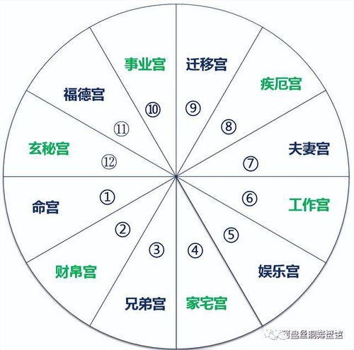 免费个人星盘十二宫查询：免费个人星盘十二宫查询指南，你的星座命运全解析与精准解读