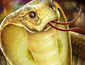 女人梦见很多蛇预示着什么：女人梦见很多蛇预示着什么？从文化符号到心理隐喻的双重解读