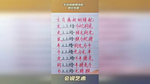 合八字姻缘测试网：合八字姻缘测试网，科学解析你的姻缘匹配度