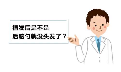 植发是拆东墙补西墙吗：植发，是拆东墙补西墙的权宜之计，还是重拾自信的有效途径？