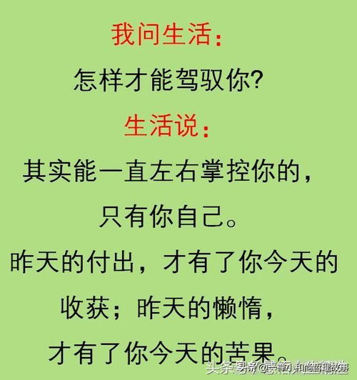 免费测字问姻缘：免费测字问姻缘，传统文化中的爱情密码与人生指引