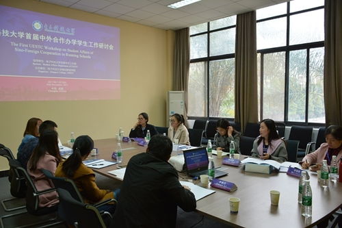 电子科技大学中外合作办学（电子科技大学中外合作办学是4 0吗）