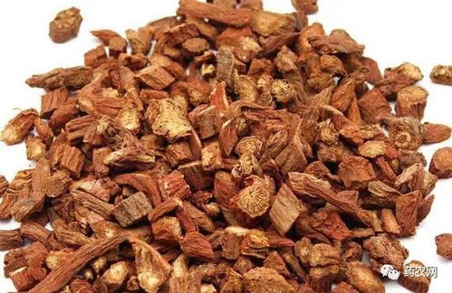 丹参对气血不足有好处吗：丹参对气血不足有好处吗？中医专家解读丹参的双向调节作用