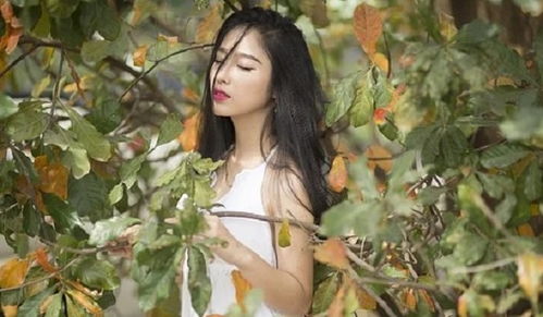 苏珊米勒运势大全：苏珊米勒2023运势大全，每月运势详解与人生机遇指南