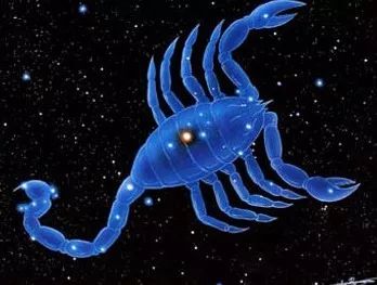 10月31号的天蝎是哪种蝎：10月31日天蝎座，尾蝎星魂的极致演绎者