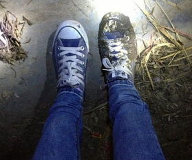 梦见踩了一脚屎又洗了:梦里踩了惊喜又洗净,是身体在提醒什么?