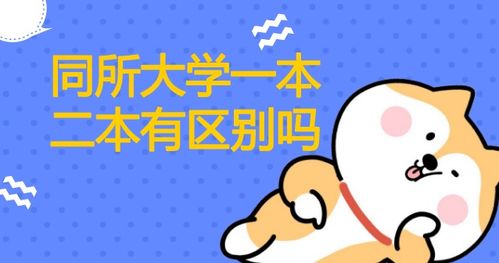 一本和二本的区别（一本和二本的区别在哪里分数线）