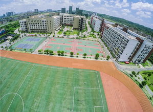 广西艺术学院全国排名（广西艺术学校2025年招生简章）