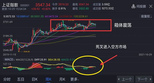 A股板块轮动，多空机会并存