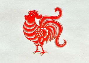 属鸡和蛇的兔年结婚吉日：属鸡和蛇的兔年结婚吉日全解析，婚期选对更幸福！