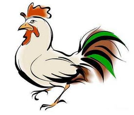 属鸡和蛇的兔年结婚吉日：属鸡和蛇的兔年结婚吉日全解析，婚期选对更幸福！