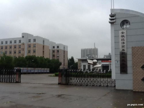 合肥职业学院(合肥职业学院有哪些)