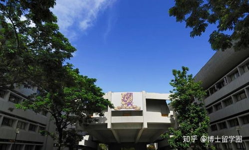 香港中文大学音乐学院招生简章(香港中文大学音乐学院招生简章博士)