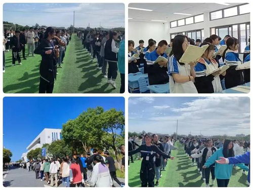 职教高考怎么报名(职教高考怎么报名时间)