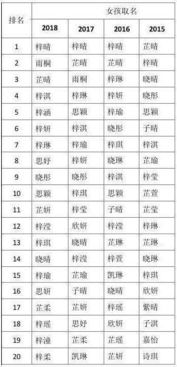 生肖起名 重名查询：2024年生肖起名指南，结合生肖运势与重名查询技巧，给孩子一个独特又吉祥的名字