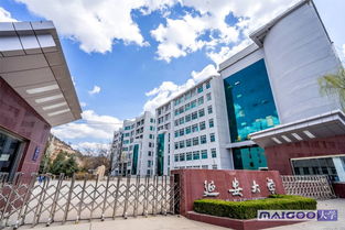 公办二本低分美术大学（公办二本低分美术大学山东）