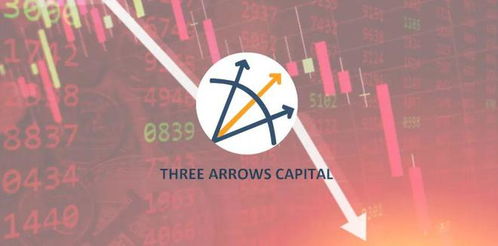 2008年：2008，全球危机中的觉醒与重生—回望一个时代的转折点