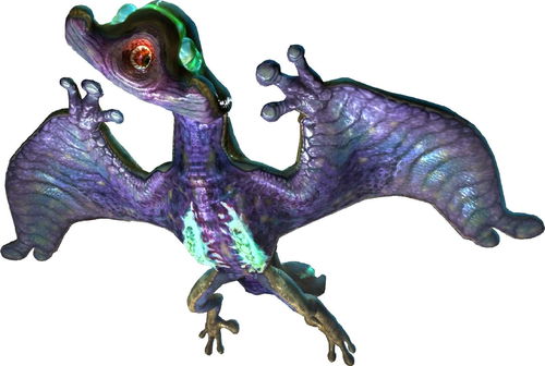 龙狗越冲越旺：龙狗相合，冲运生财，传统智慧中的吉祥密码与运势提升之道