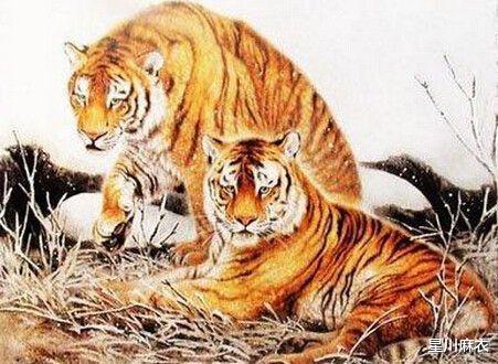 龙狗越冲越旺：龙狗相合，冲运生财，传统智慧中的吉祥密码与运势提升之道