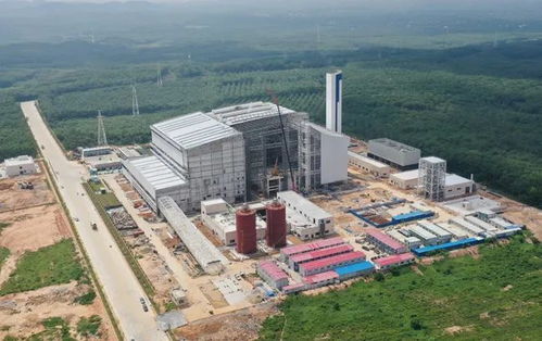 重庆十大垃圾职业学院官网（重庆有哪几个垃圾发电厂）